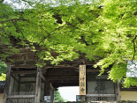 本物の数奇屋作り